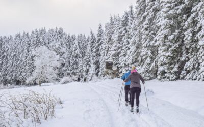 Guide til din næste skiferie